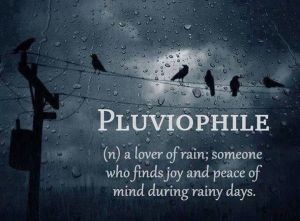 pluviophile