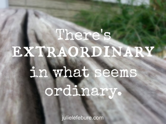 extraordinary-in-the-ordinary-e1409751777802