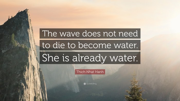 369205-Thich-Nhat-Hanh-Quote-The-wave-does-not-need-to-die-to-become