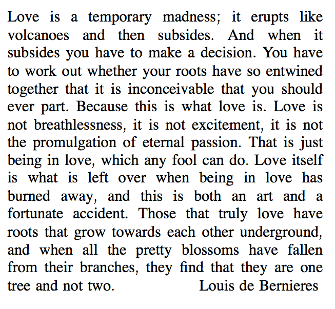 love is a temporary madness 2