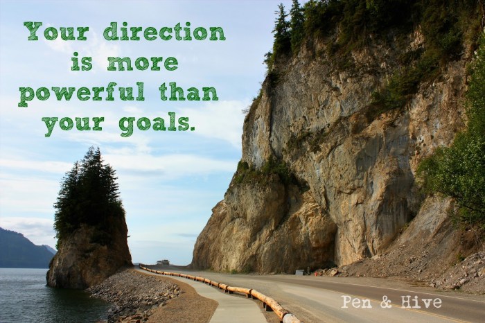 direction not goals.jpg